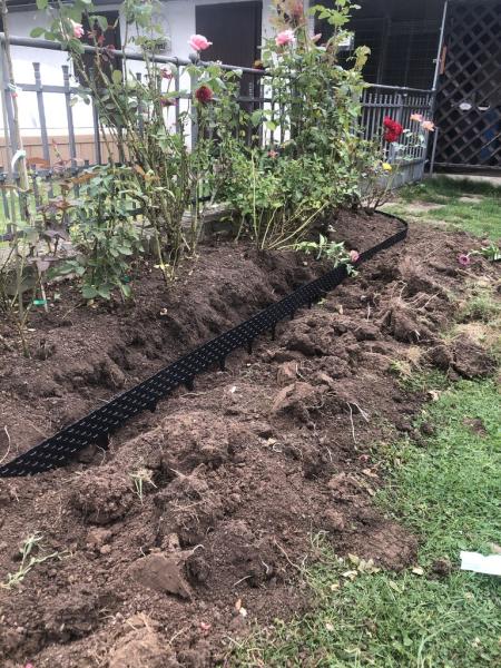 4566741851221825278780795456871688931733103406n