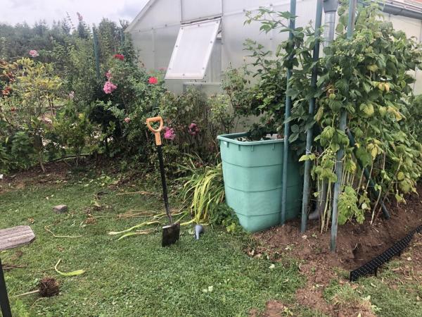 4567788901221825282320795456755532535972641175n