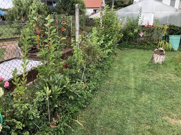 4568296441221825272240795454139428913120250817n