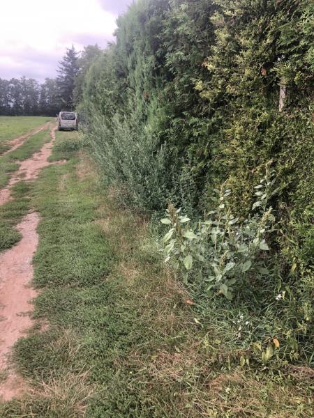 4569085501221825272300795456347344979379262727n