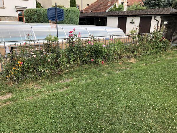 4569267541221825278420795458966344421241991944n