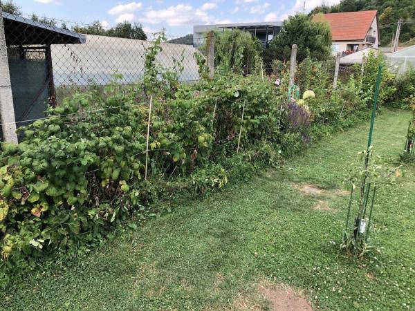 4569935791221825271760795456860032983551761919n