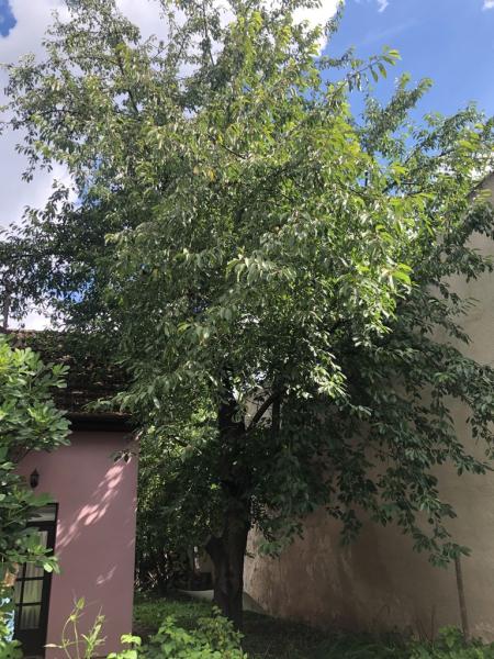 4519985431221758596400795457955362476099979583n