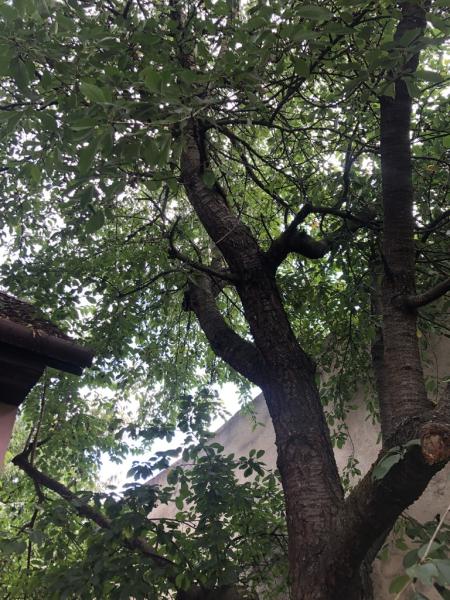 4520051931221758595920795455640884536879790286n