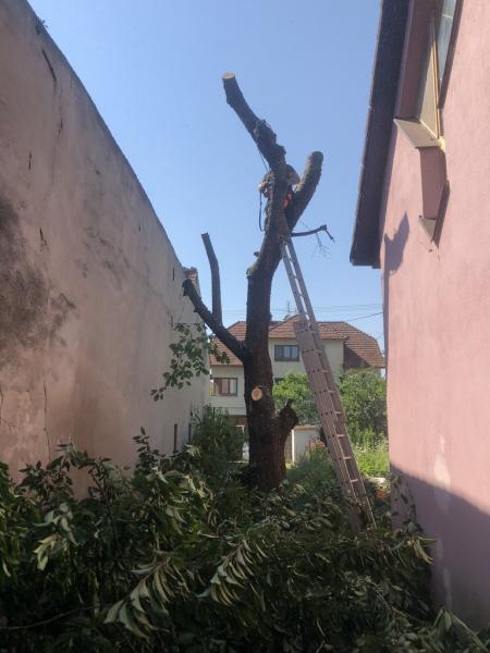 4520387871221758599460795454261057160551214089n