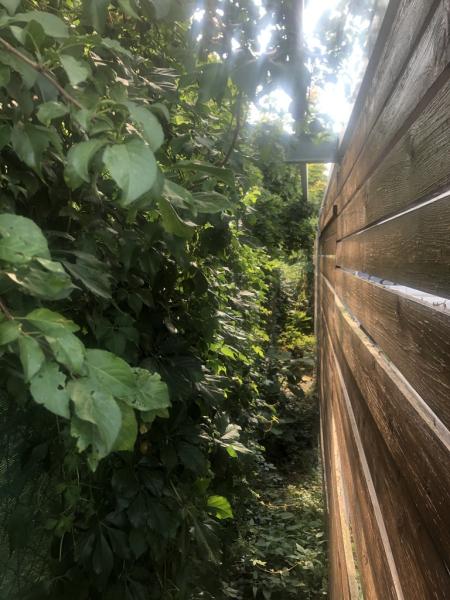 4563862581221825236240795452478817060168273585n