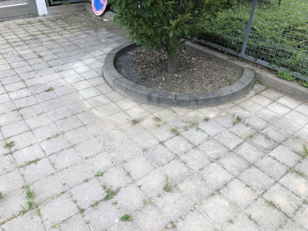 4565394211221825241520795456617033173971803912n