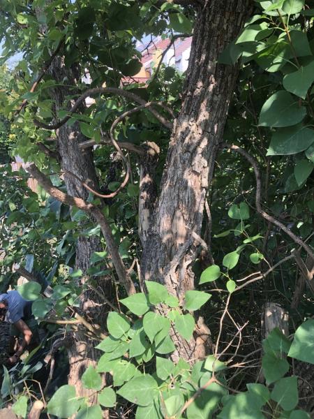 4565455391221825237200795457345255740990855182n