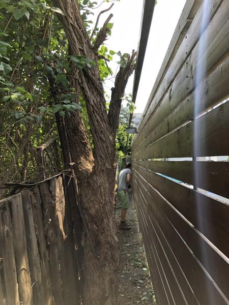 4566065041221825239660795455150085701235120424n