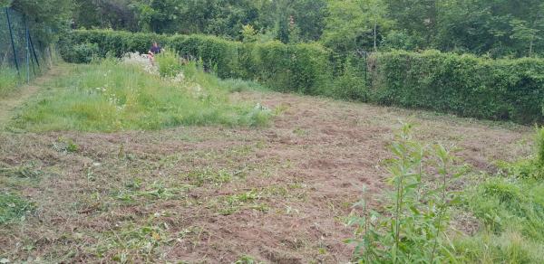 4503921651221738200960795455413703992176586072n