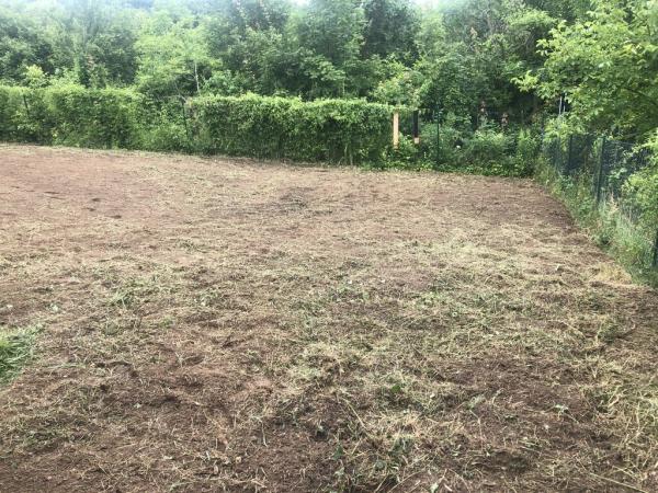 4503971401221738202940795454151455994306552231n