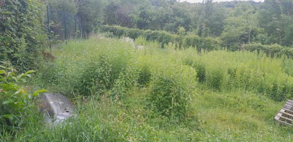 450540829122173820240079545362400848951248558n