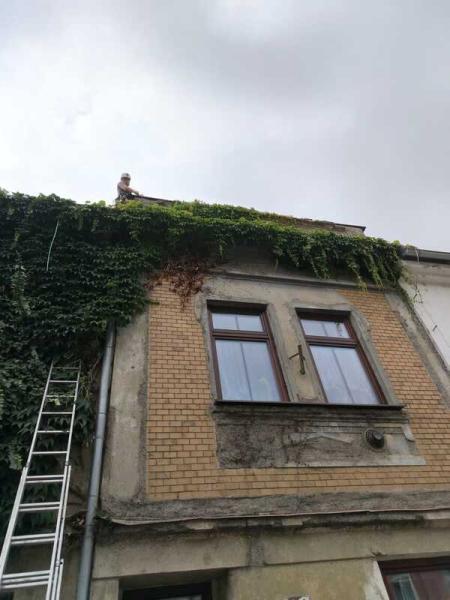 4491873861221721727180795454261698413999125115n