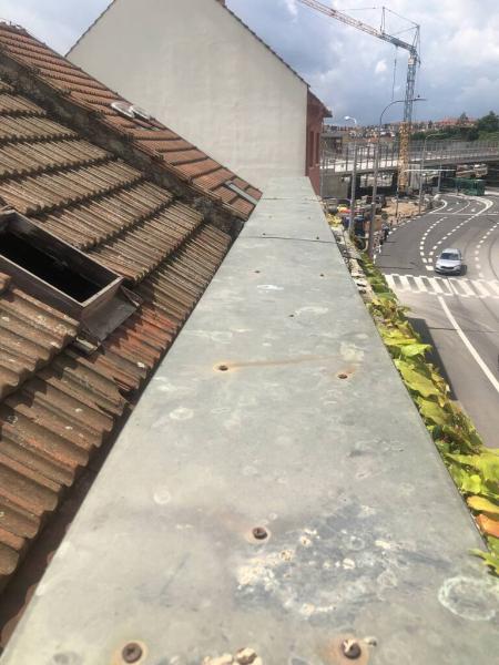 4493913881221721728920795453382291561631259231n