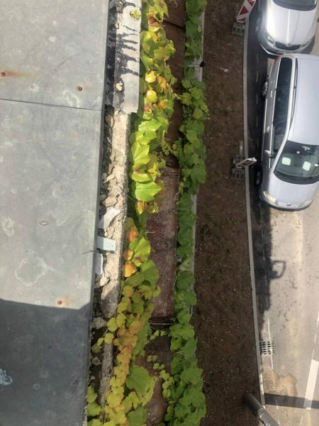 449432170122172173108079545418742044301287195n