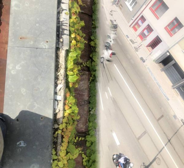 449483648122172172958079545339759969597864295n