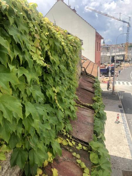 4494887671221721729220795458059307080642398294n