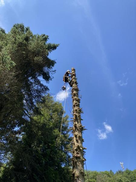 4486968041221708808340795453059400942908692301n