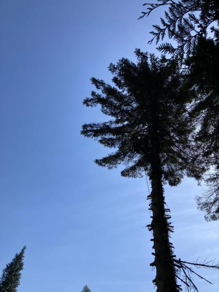 4487190101221708807080795455939868376870253367n