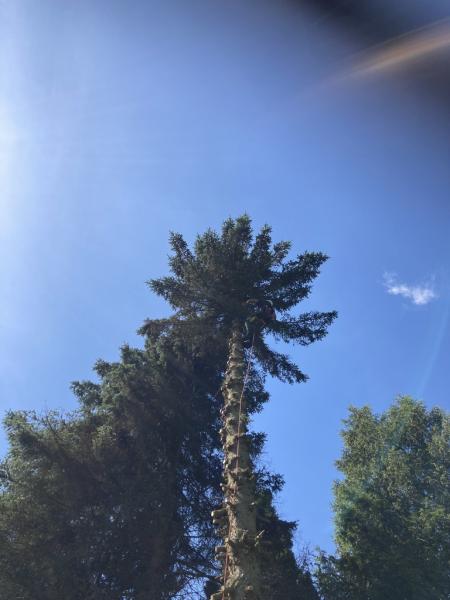 4488118761221708806900795457780416245464775414n