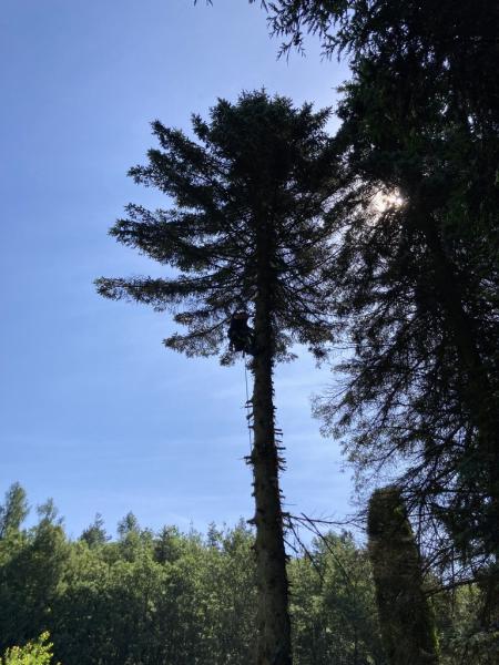 4488254821221708807260795457413458568929465926n