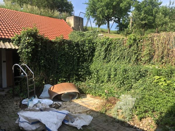 4468434311221666790340795455252834619825355608n