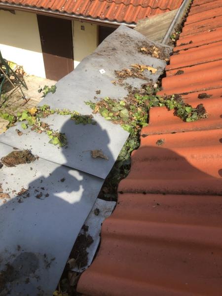 4468724901221666787340795452525108881214577031n