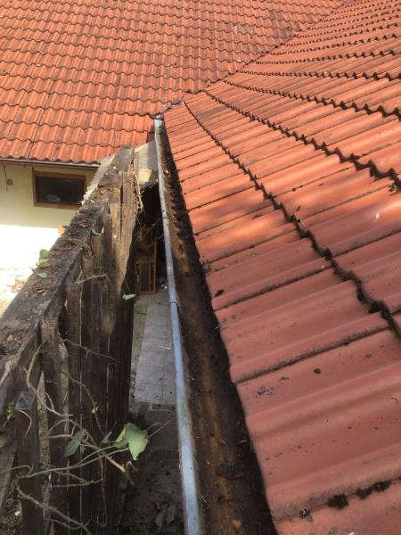 4468983251221666787880795457697281965950316526n