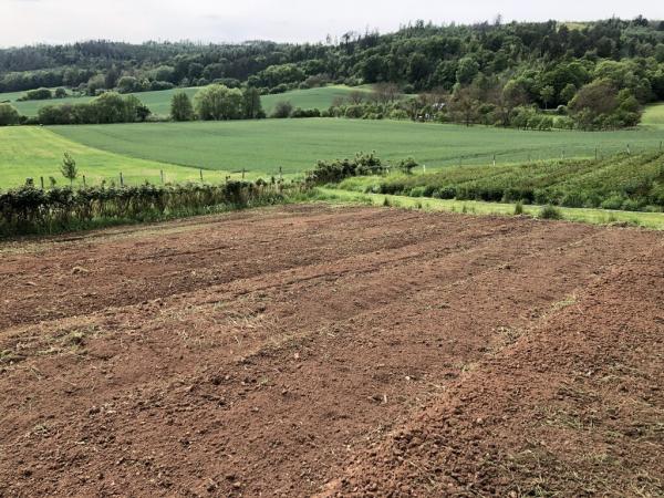 4381747681221636785900795451040528865134209404n