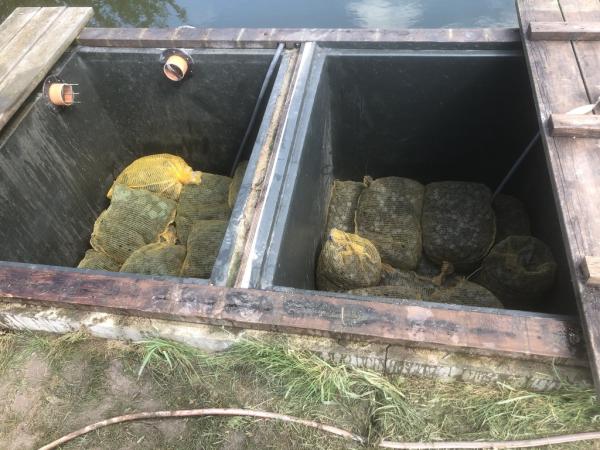 4388417581221607237040795455908454888462821736n