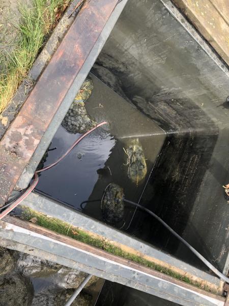 4388457541221607237760795457988203921374340652n