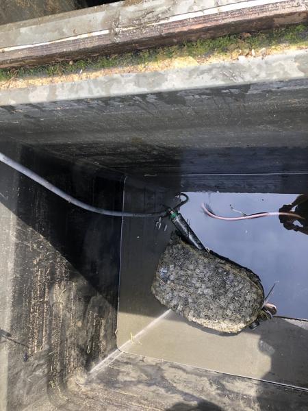 4403780951221607239320795457612551939061063582n