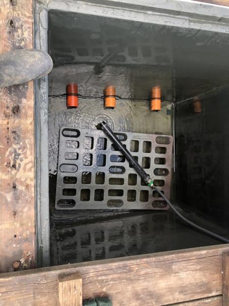 440567634122160723380079545836509018342527827n