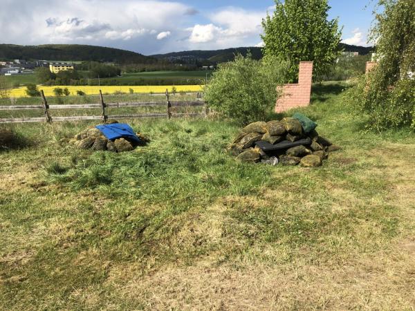 4405775521221607232420795459013242503525185449n