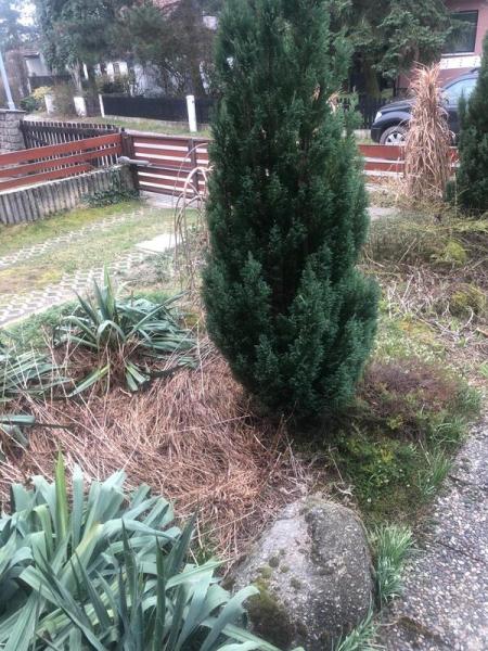 4379498641221582916280795451413825424776168030n