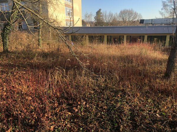 4151230651221341670920795451580993821961599185n