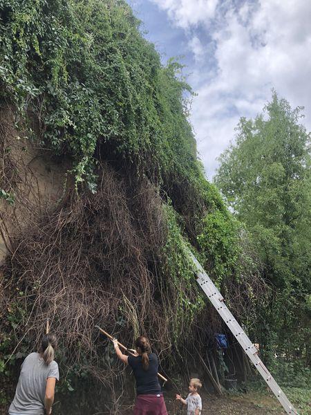 3945245461221091508360795453953940133583660520n