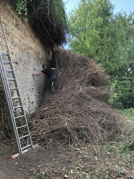 3945596371221091509620795452713902608